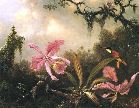 Martin Johnson Heade Orchids and Crimson Topaz Hummingbird
